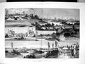 Old 1882 Leicester Hall Corpus Christi Guild Abbey Park Ornamental Wa Victorian