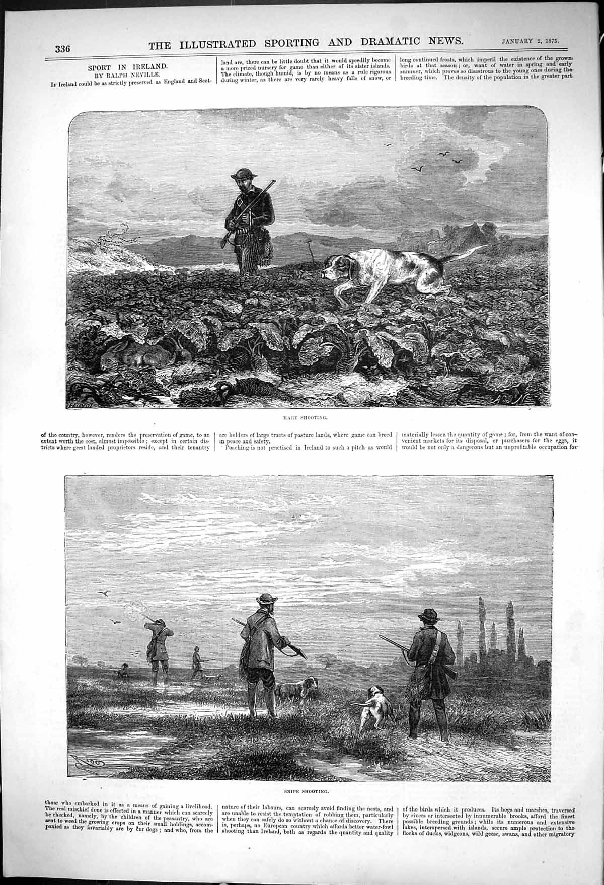 Antique Print Sport Ireland Ralph Neville Hare Shooting Snipe Shooting 1875