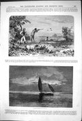Antique Old Print Quail Shooting Rifles Dogs Wild Fowl Shooting Coast 1875 19th