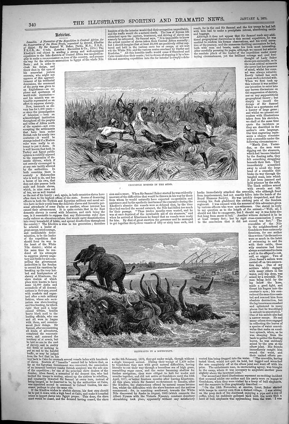 Old Antique Print Crocodile Mobbed Sudd Elephants Difficulty Kormak 1875 19th