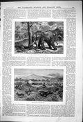 Old Print Bull Elephant Shakes Down Fruit Driving Prairie With Fire 1875 19th