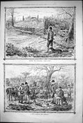Antique Old Print Driving Partridges Mark Covey Days Rabbiting Luncheon 1875