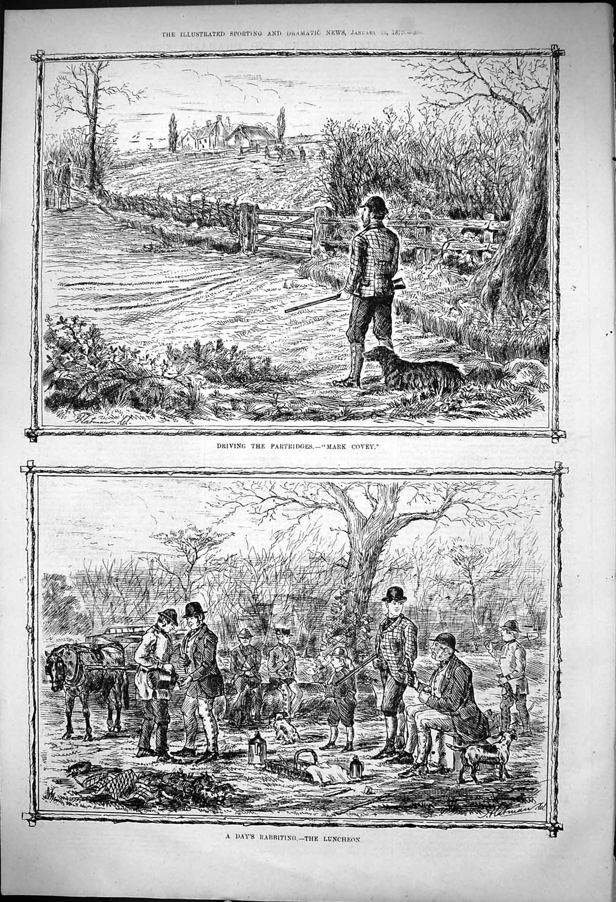 Antique Old Print Driving Partridges Mark Covey Days Rabbiting Luncheon 1875
