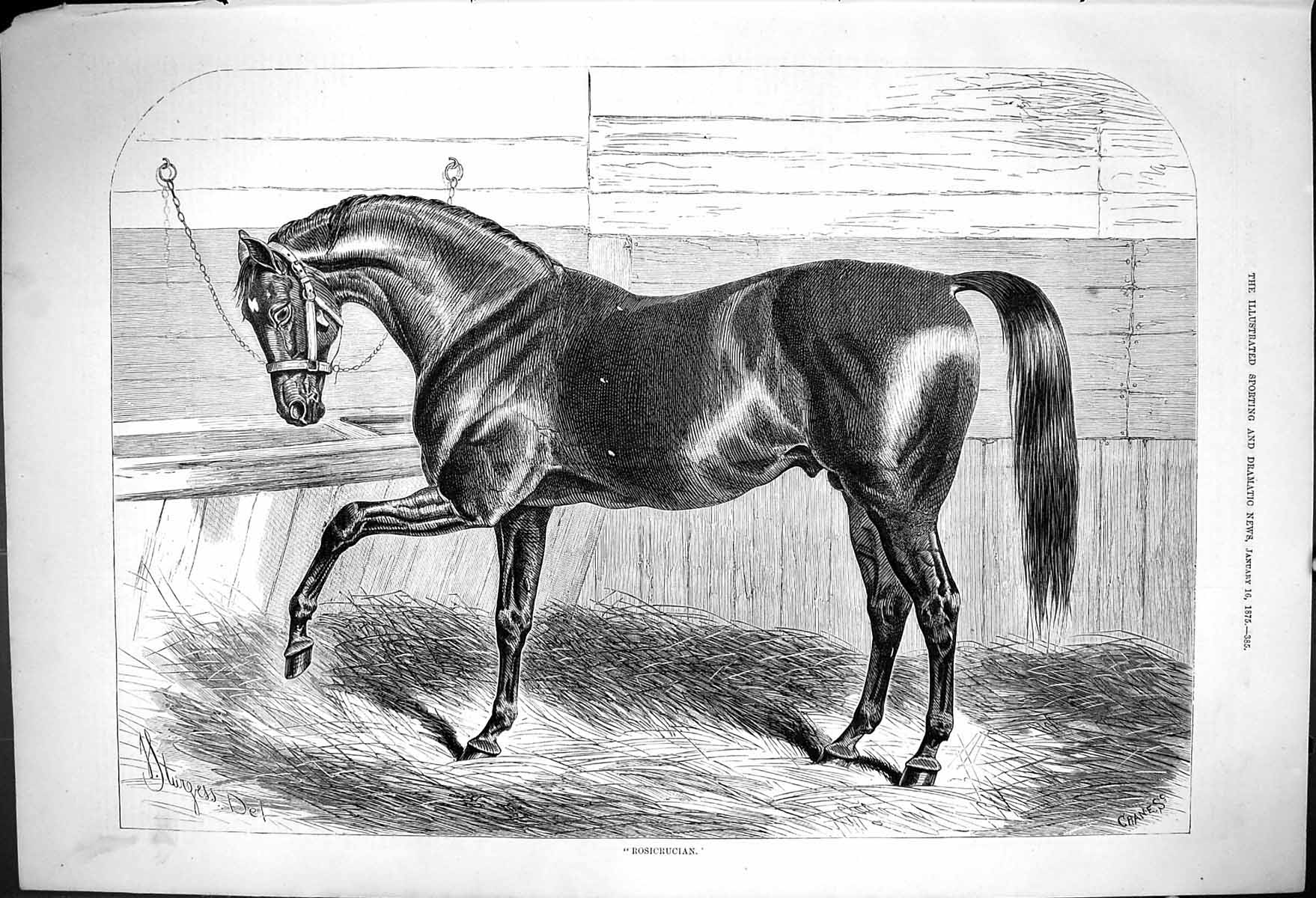 Old Rosicrucian J Sturgess Horse Stable Captious Critic Wm Holland 18 Victorian