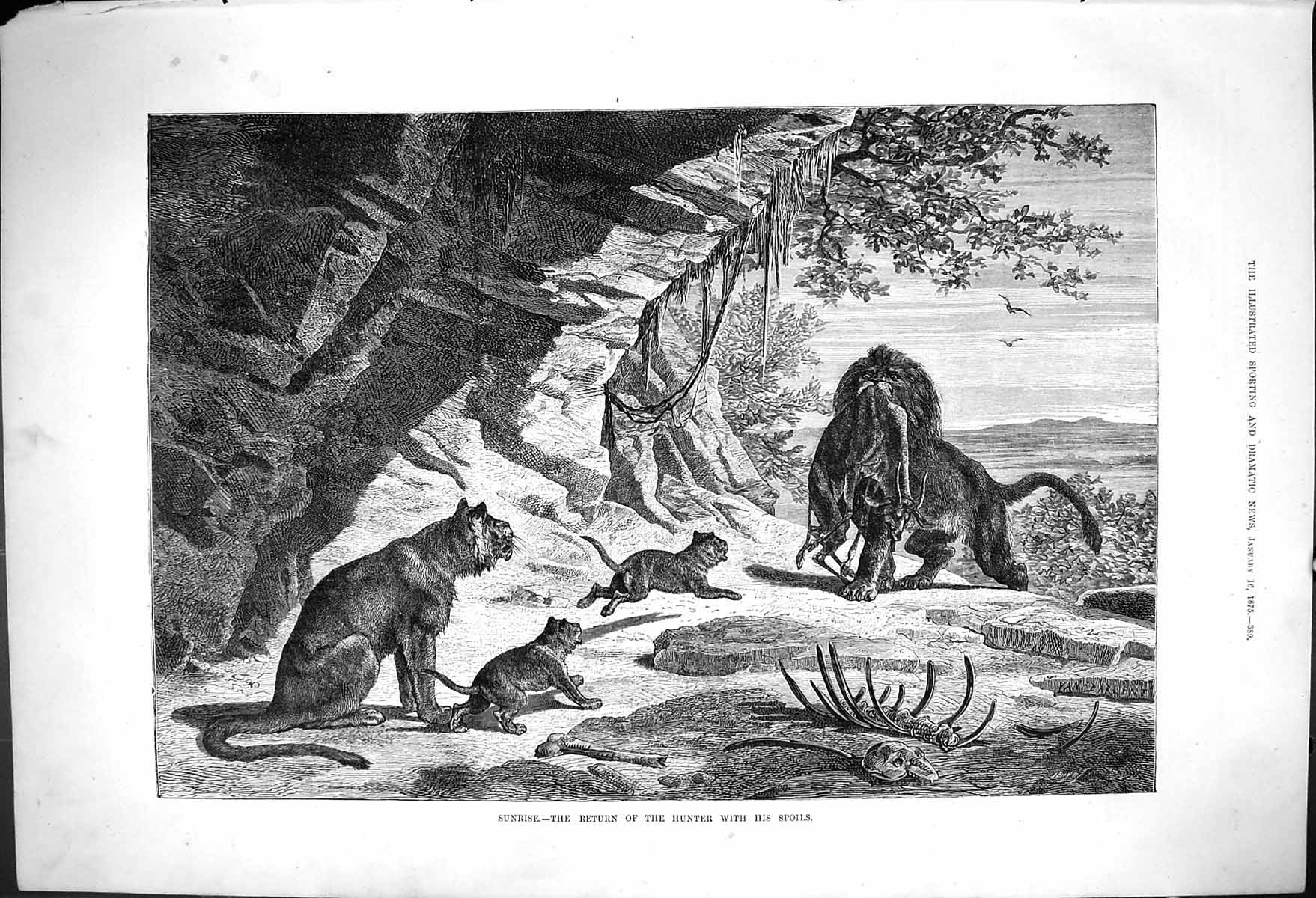 Old Print Sunrise Return Hunter Spoils Lion Donald Kilt Death Domino 1875 19th