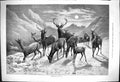 Old Frozen Out F Keyl Deer Snow Captious Critic Crier Mr Phelps 1875 Victorian