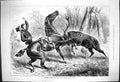 Old Singular Incident With County Limerick Stag-Hounds J Sturgess 187 Victorian