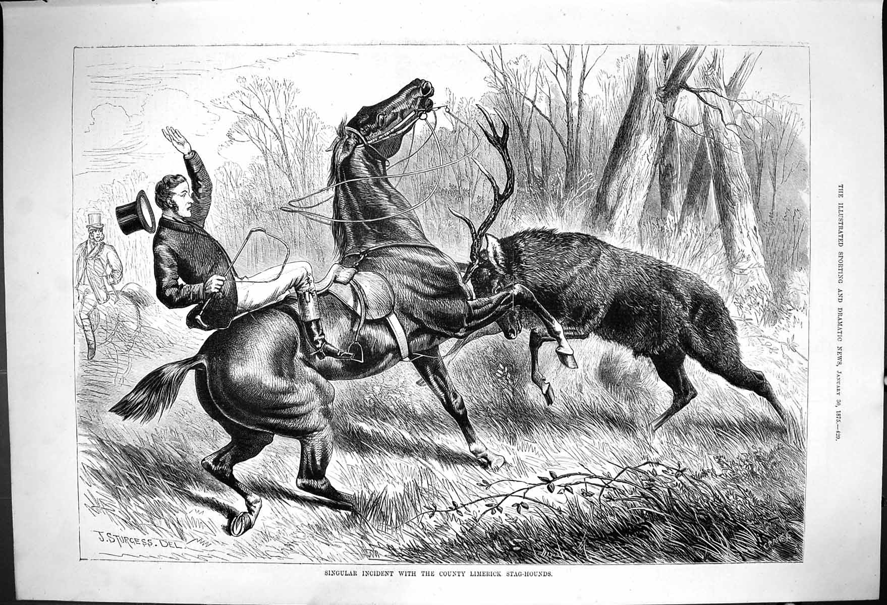 Old Singular Incident With County Limerick Stag-Hounds J Sturgess 187 Victorian