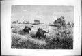 Antique Print Tiger Shooting Howdah Captious Critic Mr Cecil Dr Cadis 1875 19th