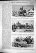 Antique Print Tiger Shooting Howdah Shekar Elephant Last Charge Tiger 1875 19th