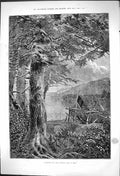 Original Old Antique Print Hemlocks Lake Otsego John A Hows Nets 1875 Victorian