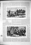 Antique Print Bear Hunting Nizams Territory Death Bear Collecting Game 1875