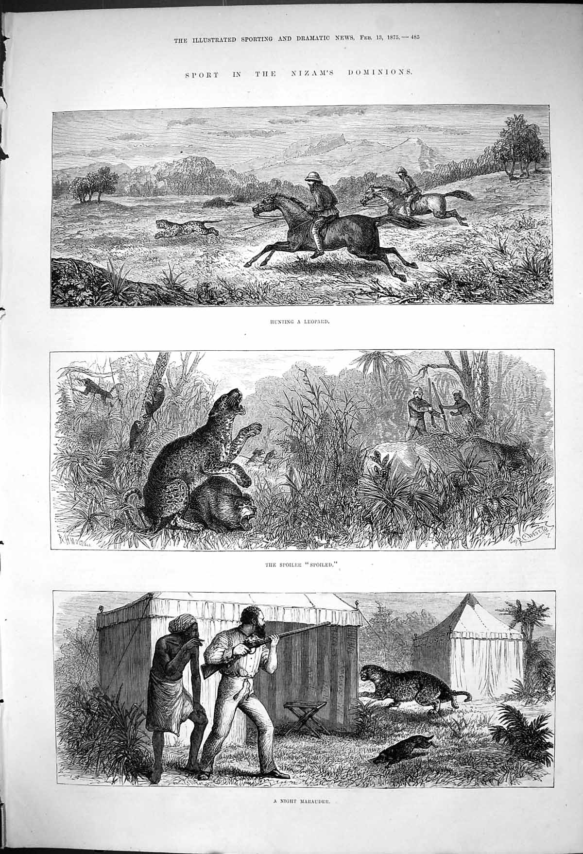 Antique Old Print Sport Nizams Dominions Hunting Leopard Spoiler Spoiled 1875
