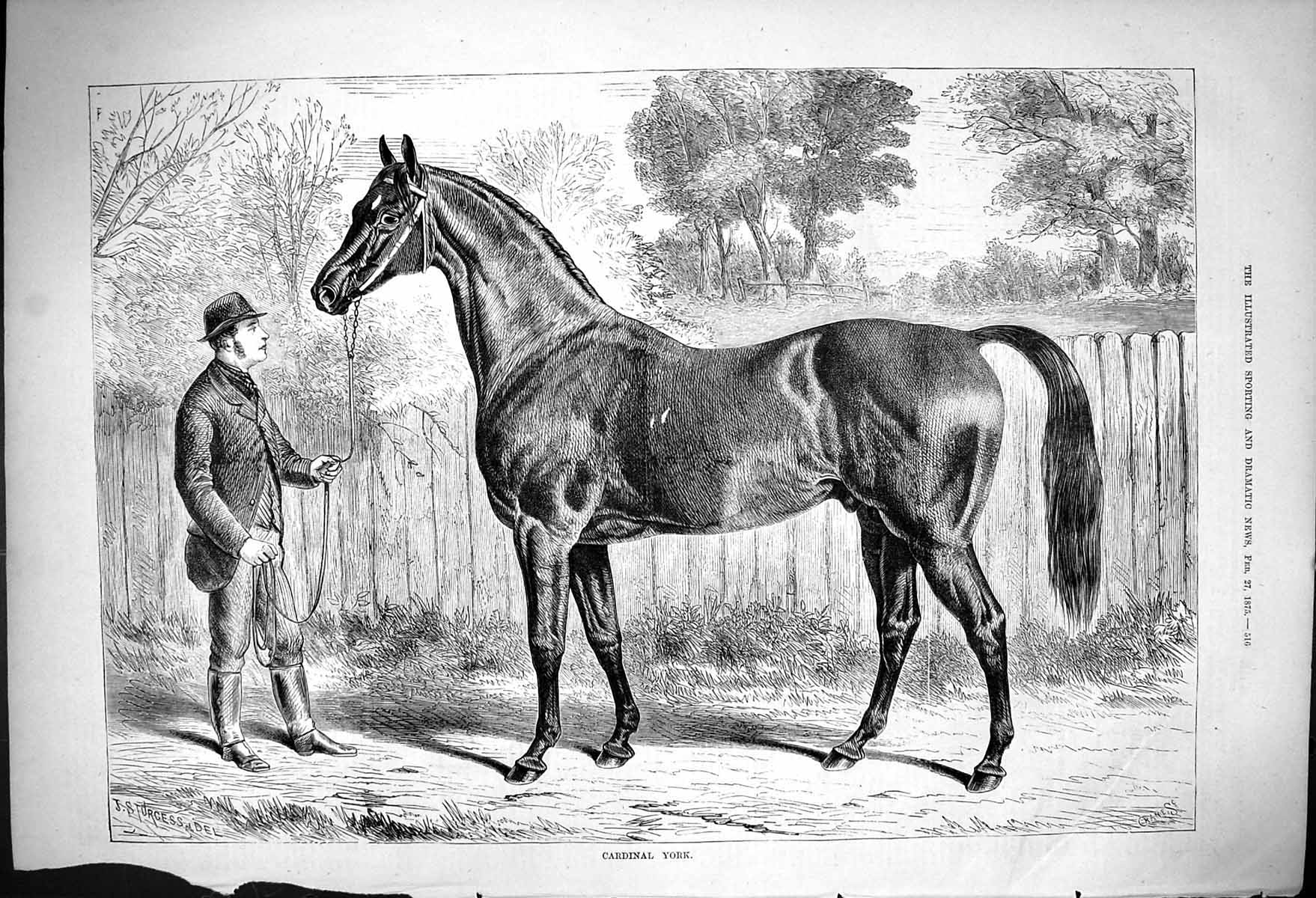 Antique Old Print Carnival York Horse Held By Owner Trainer J Sturgess 1875