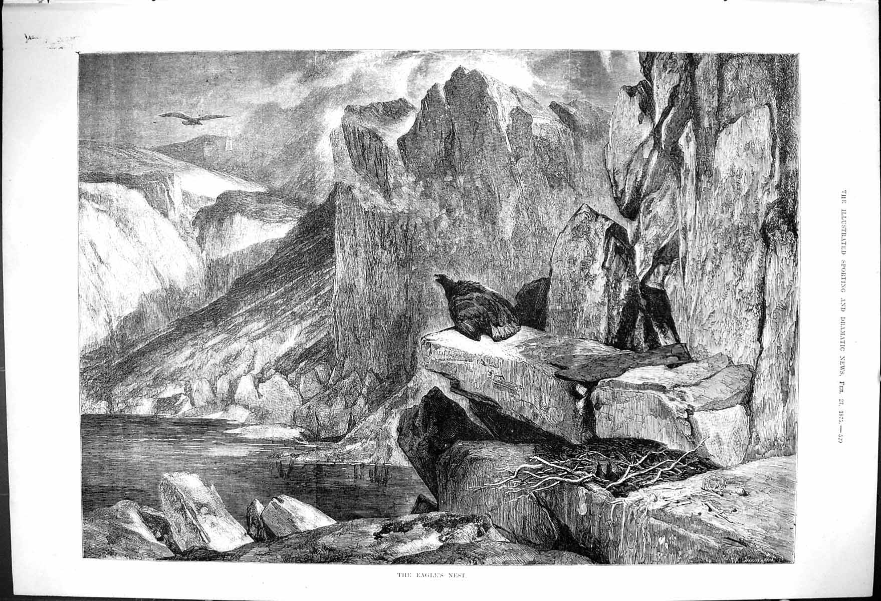 Original Old Antique Print Eagles Nest Twigs Rocks Edge Lake 1875 Victorian