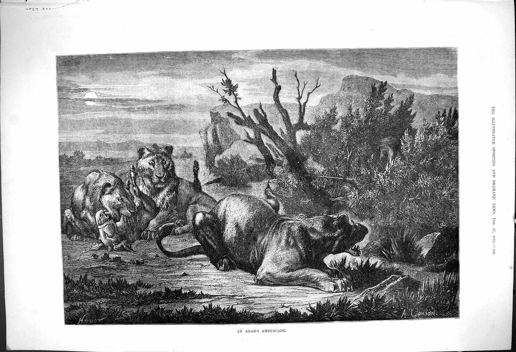 Original Old Antique Print An Arabs Ambuscade Lions Eating Deer A Lansan 1875