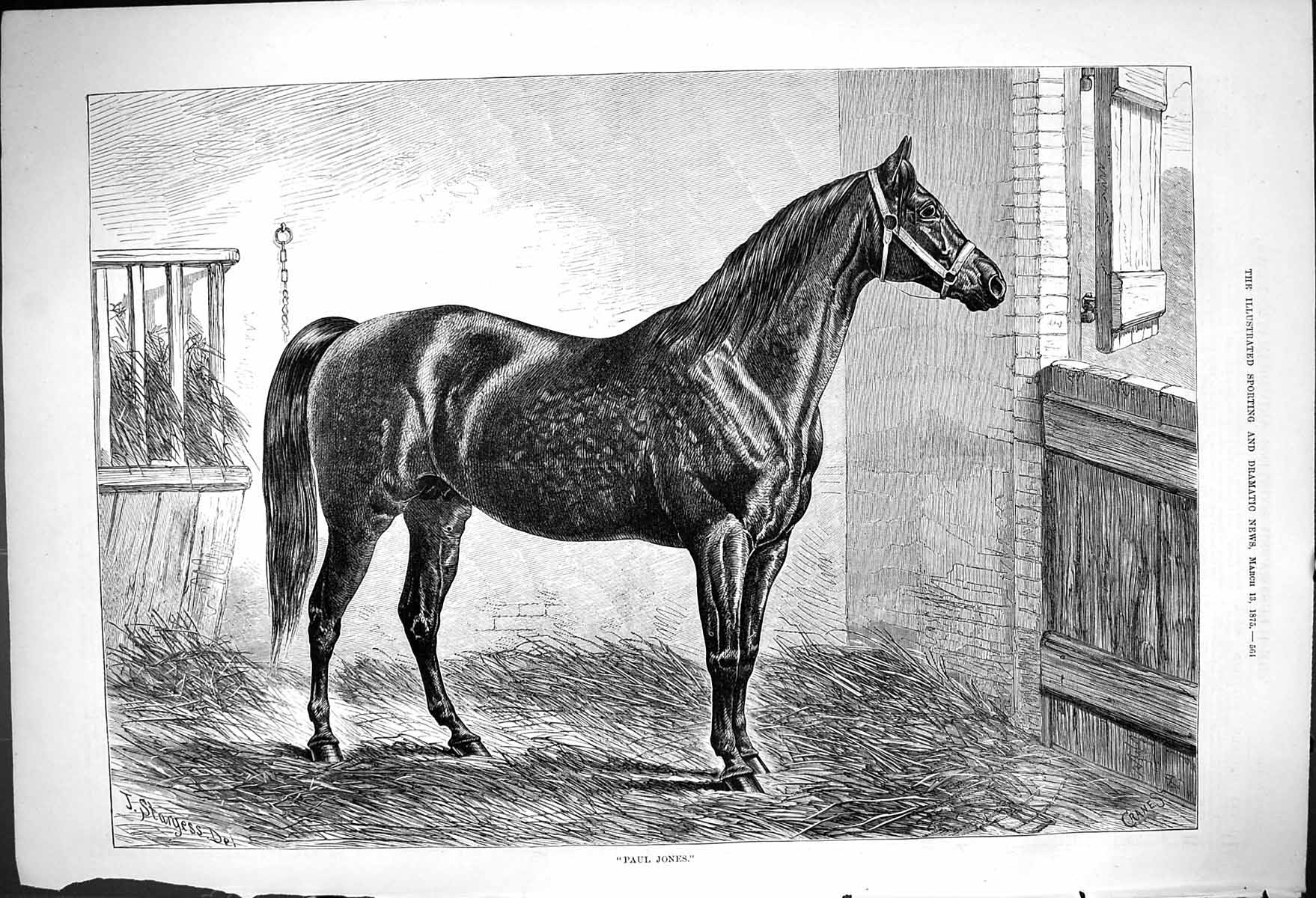 Original Old Antique Print Paul Jones J Sturgess Dark Horse Stable 1875 19th