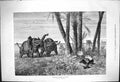 Antique Print Elephant Shooting Sofala G De Tregomain Rifles Shooters 1875 19th