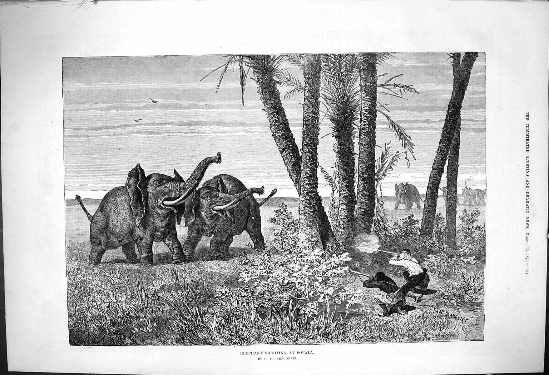 Antique Print Elephant Shooting Sofala G De Tregomain Rifles Shooters 1875 19th