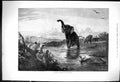 Old Antique Print 1875 Elephant Shooting River Limpopo Hunting Huntsmen 19th