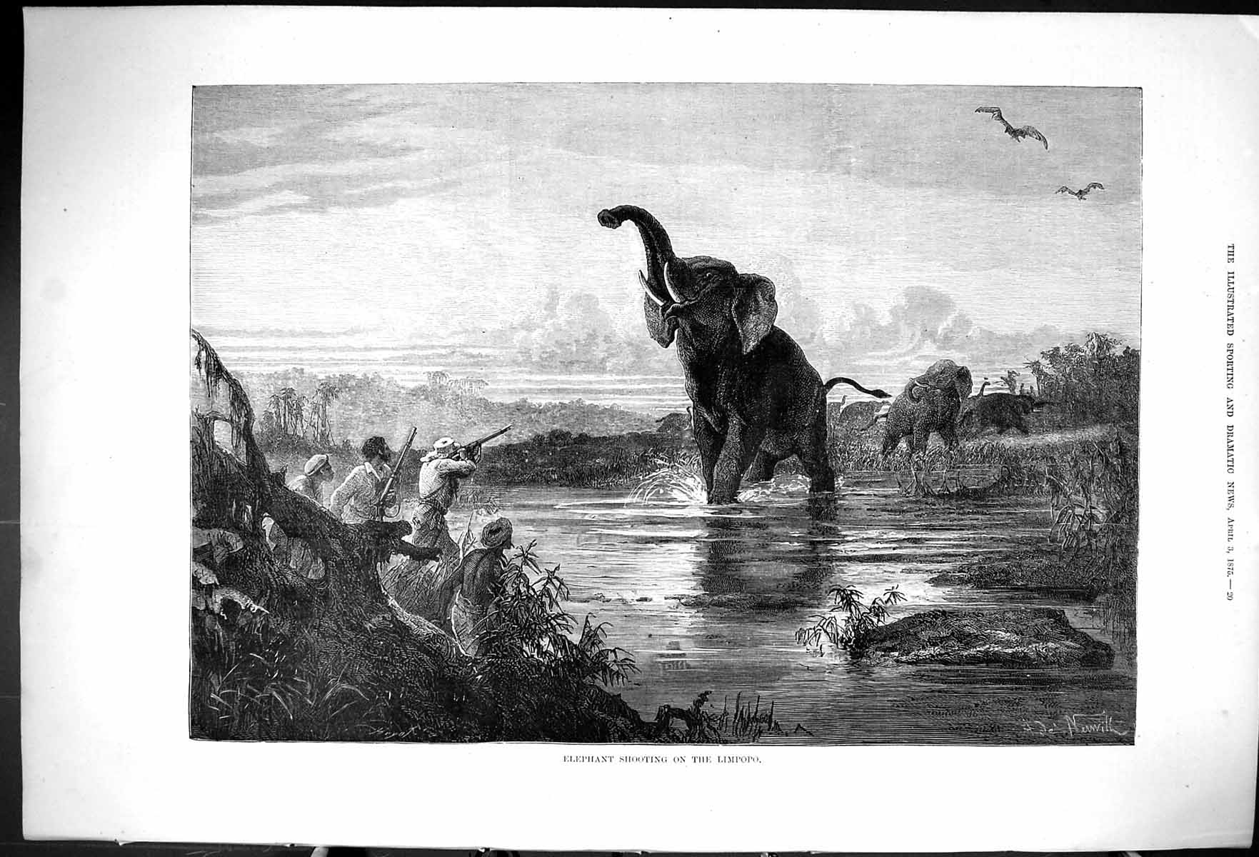 Old Antique Print 1875 Elephant Shooting River Limpopo Hunting Huntsmen 19th