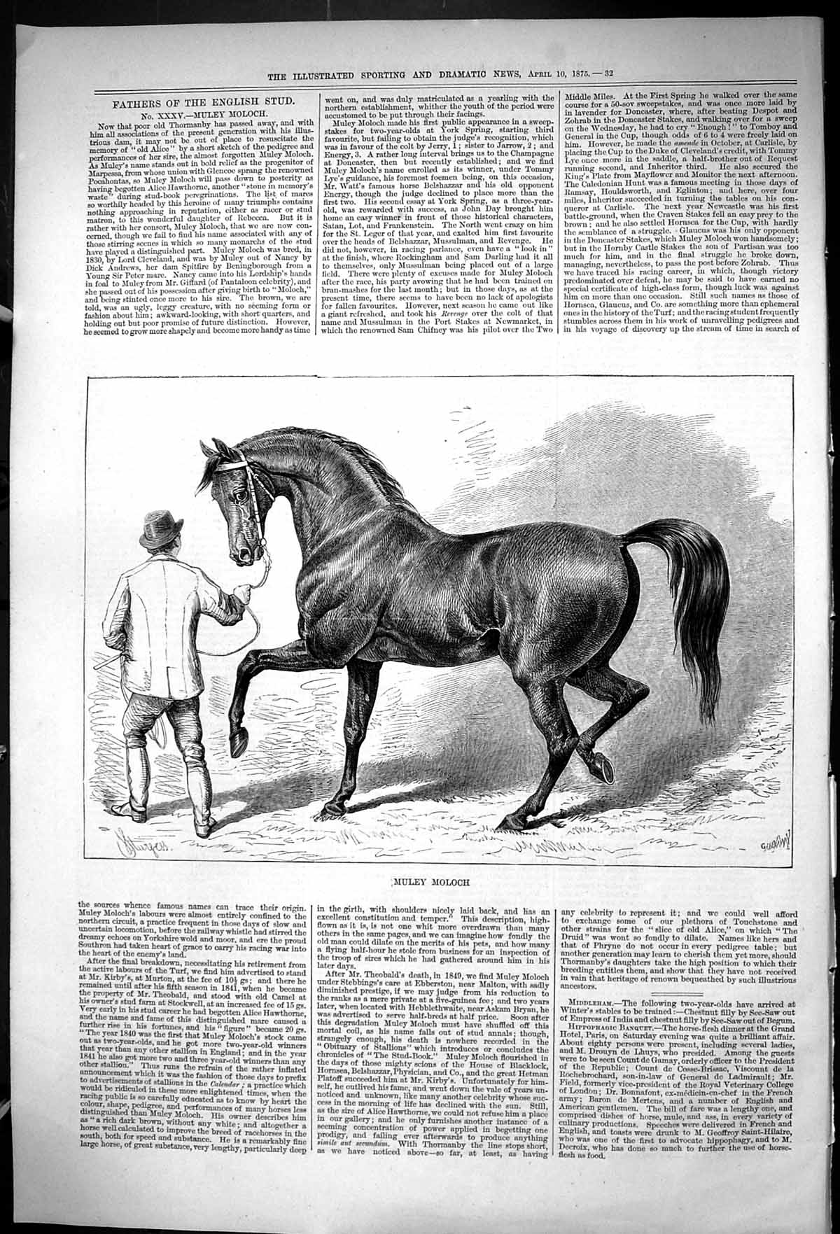 Original Old Antique Print 1875 Horse Stable Trainer Muley Moloch Victorian