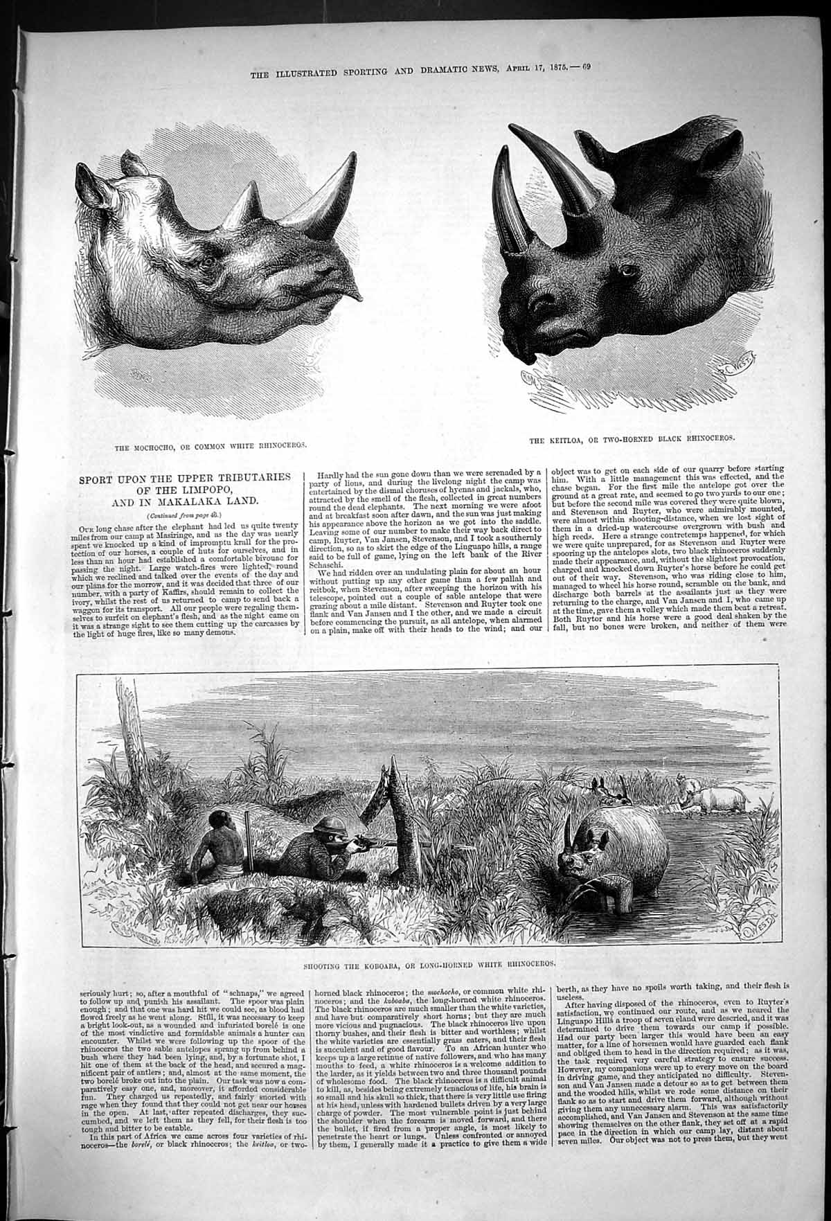 Old Antique Print 1875 Mochocho White Rhinoceros Keitloa Hunting Koboaba 19th