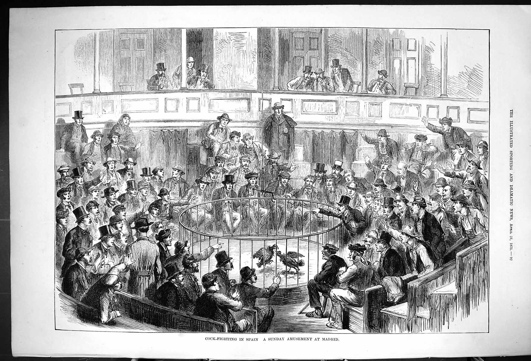 Antique Print 1875 Gamecocks Birds Spain Sunday Amusement Madrid Spain 19th