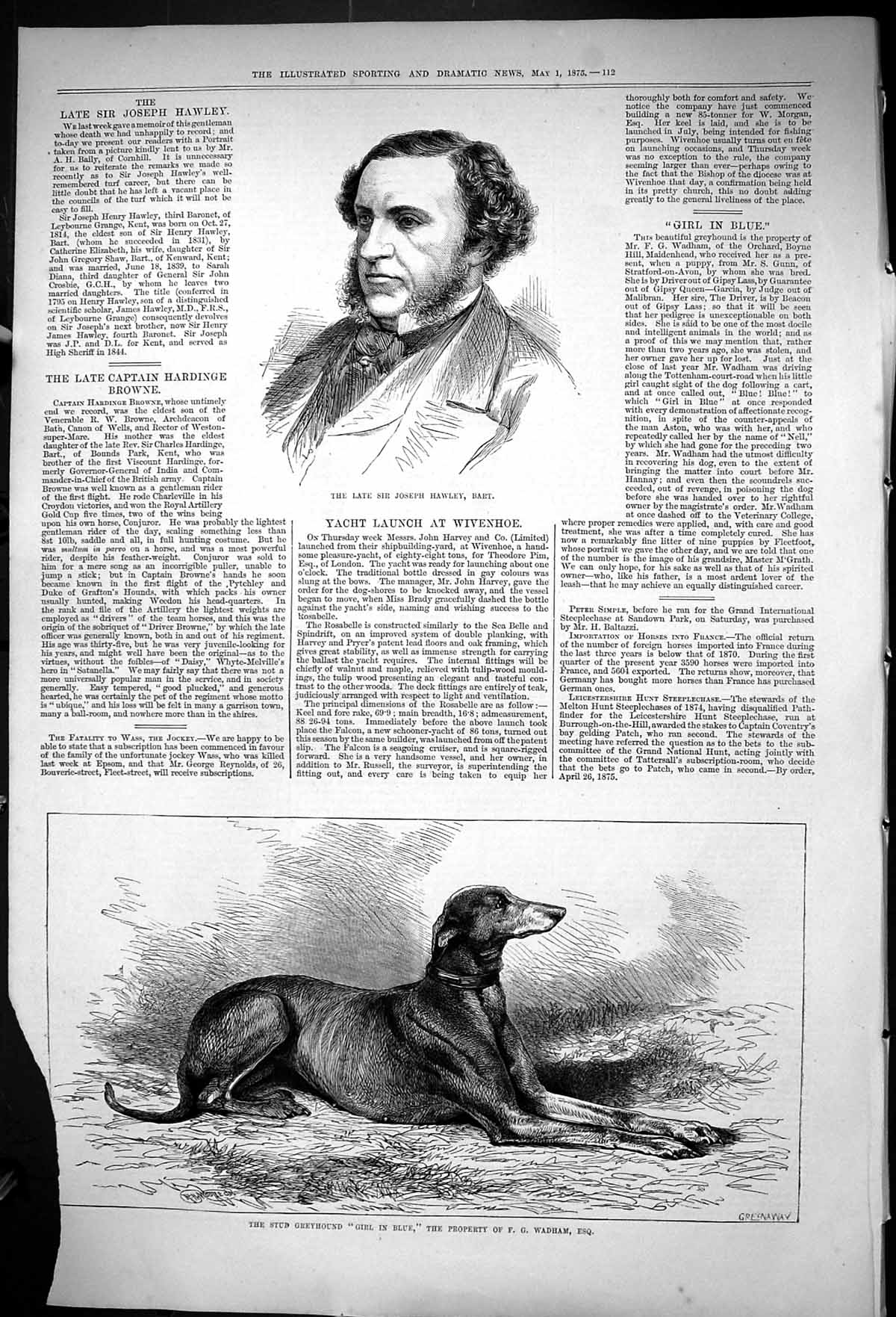 Antique Print 1875 Portrait Sir Joseph Hawley Bart Greyhound Stud Girl Blue