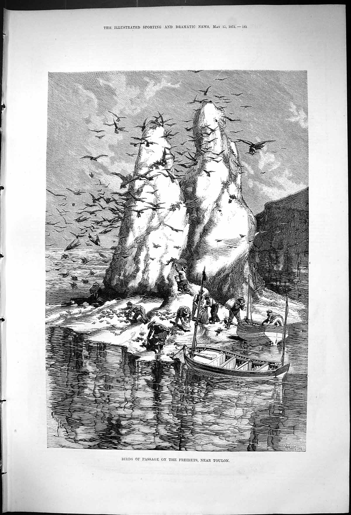 Antique Old Print 1875 Birds Passage Freirets Toulon France Men Boats Hunting