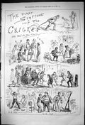 Original Old Antique Print 1875 Sport Cricket Rolling Grass Spectators 19th
