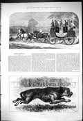 Original Old Antique Print Transport Coach Horses 1875 Derby Dog Racing Sport
