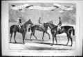 Old 1875 Oaks Derby Woodcote Stakes Horses Spinaway Folkestone Galopi Victorian