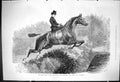 Old 1875 Horse Show Agricultural Hall Islington Miss Bryant Talisman Victorian