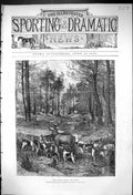 Old Print 1875 Cerf Force Tenant Le Abois Deer Hunting Hounds Dogs Sport 19th