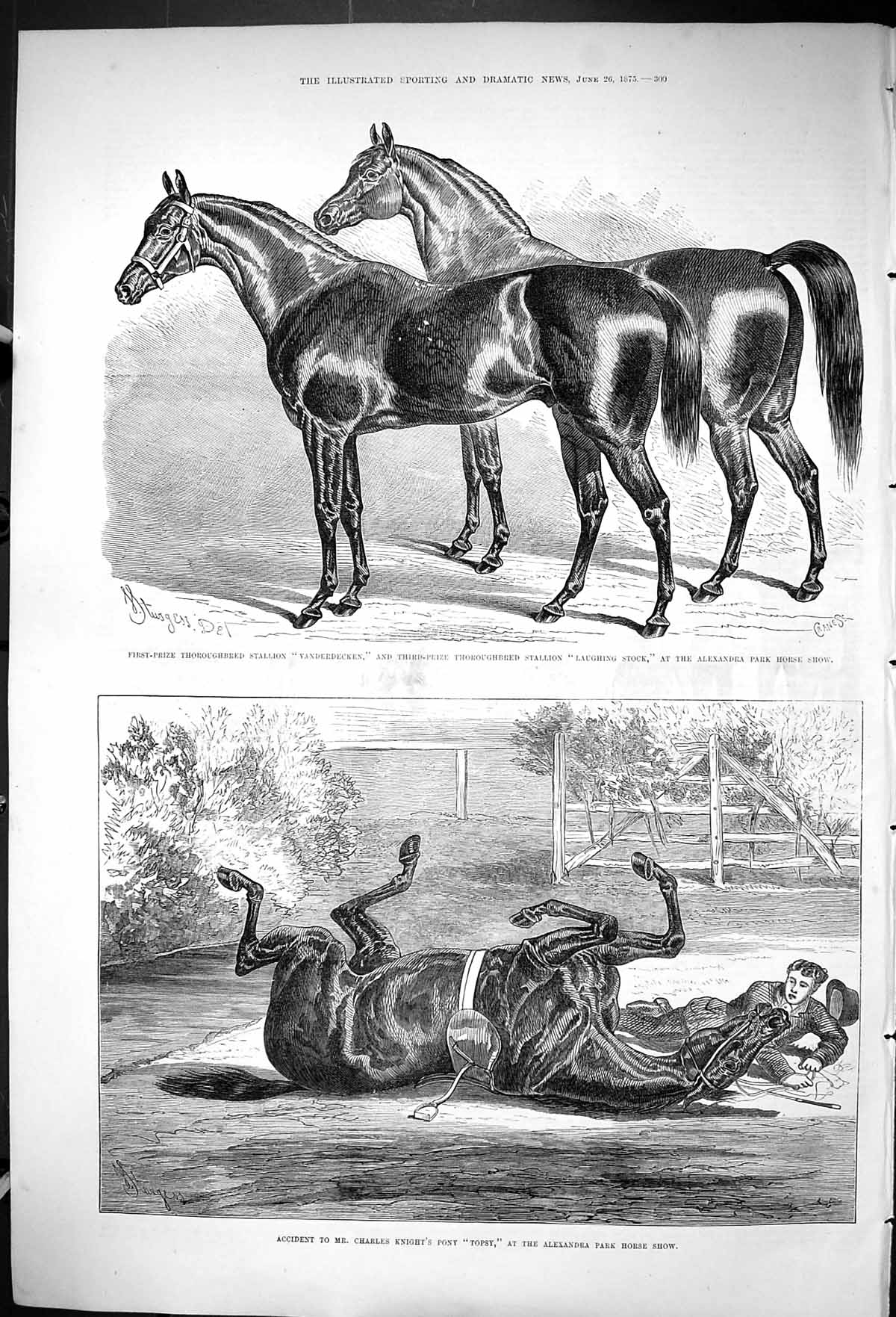Old 1875 Thoroughbred Stallion Horse Vanderdecken Alexandra Park Tops Victorian
