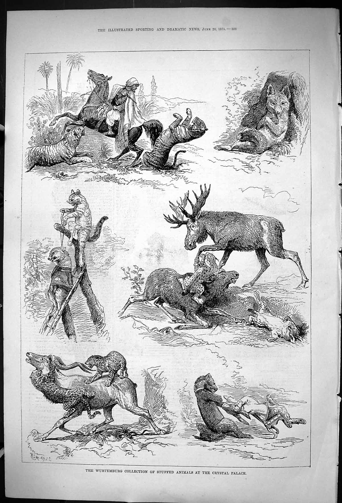 Antique Old Print 1875 Wurtemburg Collection Stuffed Animals Crystal Palace