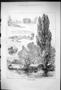Original Old Antique Print 1875 River Thames London Sketches Boat Romance Trees