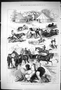 Old Antique Print 1875 Horse Dog Poultry Show Boston Lincolnshire Animals 19th