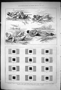Old 1875 Rifle Shooting Targets Ireland Yale Fulton Wilson Dakin John Victorian