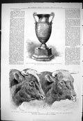 Old 1875 Lloyds Cup Rifle Shooting Agricultural Show Taunton Duke Aos Victorian