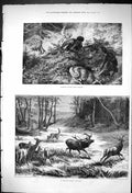 Old Antique Print 1875 Poachers Burning Down Roedeer Stags Hunting Deer 19th