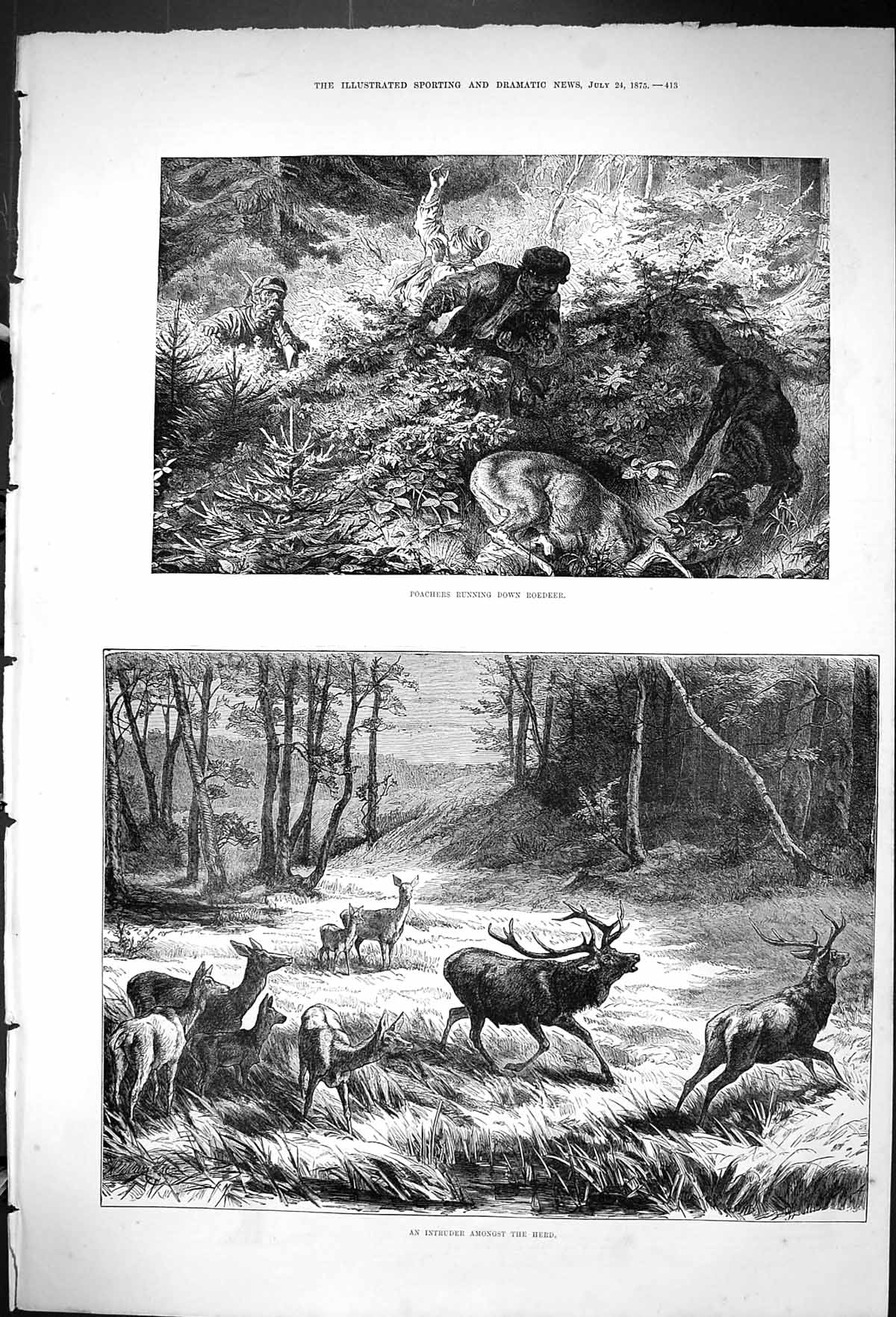 Old Antique Print 1875 Poachers Burning Down Roedeer Stags Hunting Deer 19th