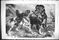 Antique Print 1875 First Grouse Birds Sport Hunting Shooting Dogs Huntsman 19th
