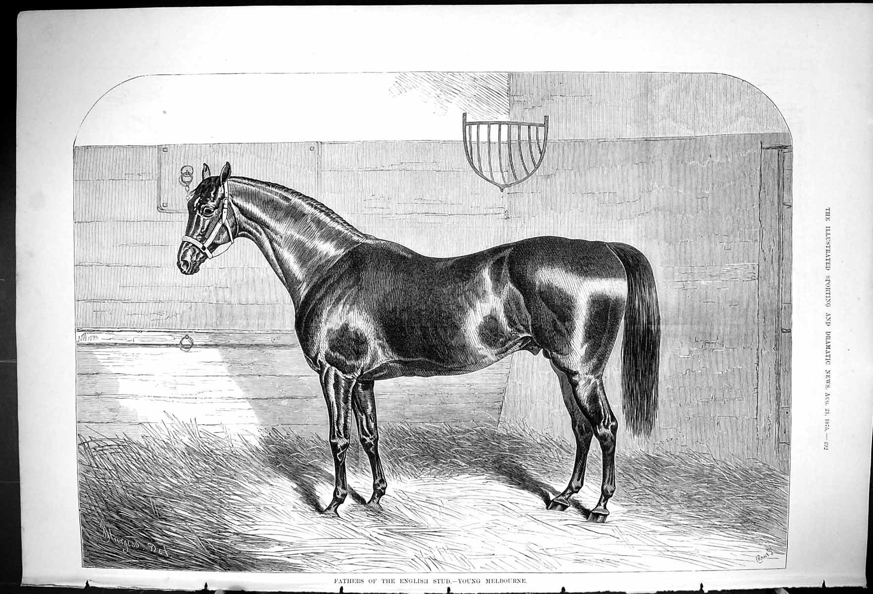 Old Antique Print 1875 Fathers English Stud Young Melbourne Stable Scene 19th