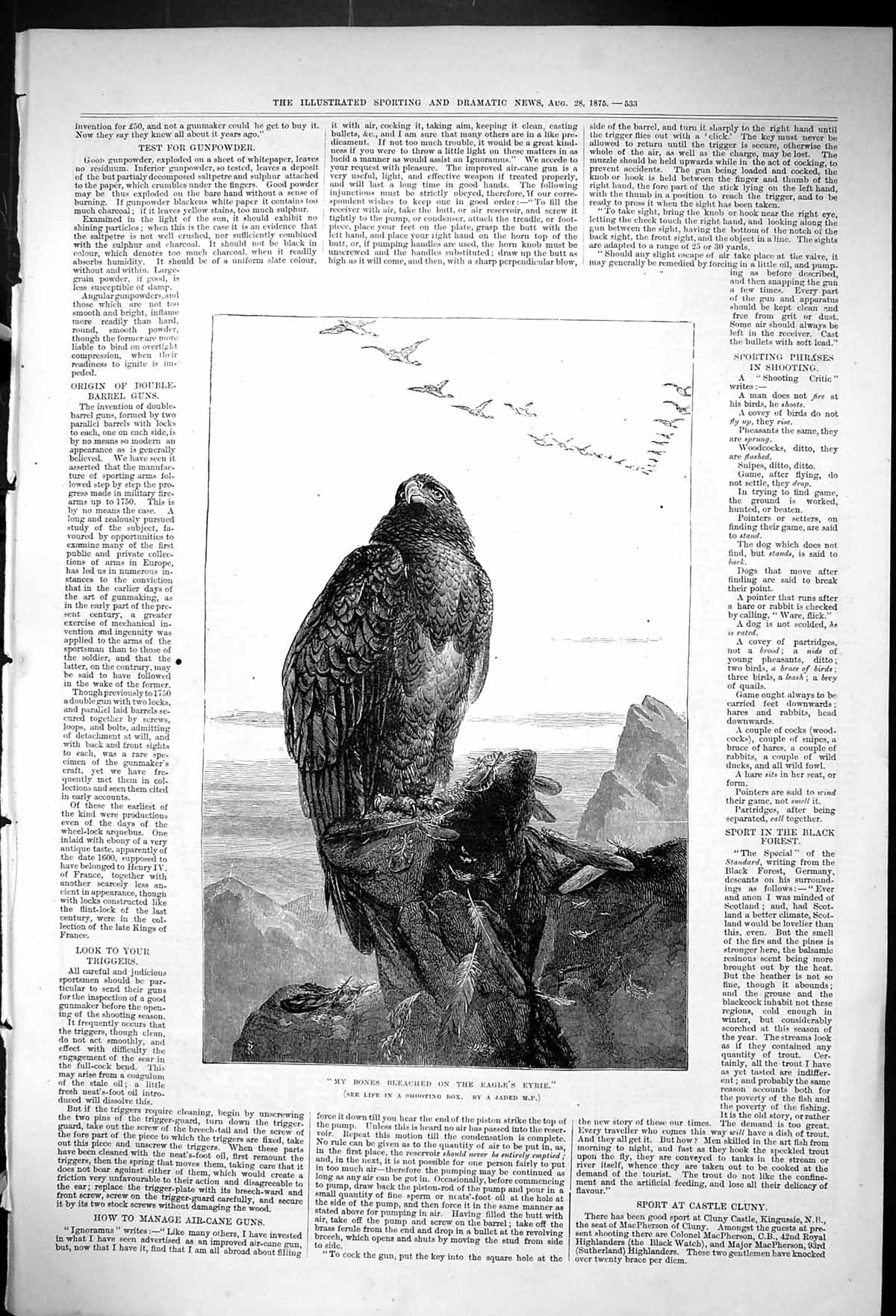 Original Old Antique Print 1875 Bones Bleached Eagle Eyrie Bird Prey Mountains