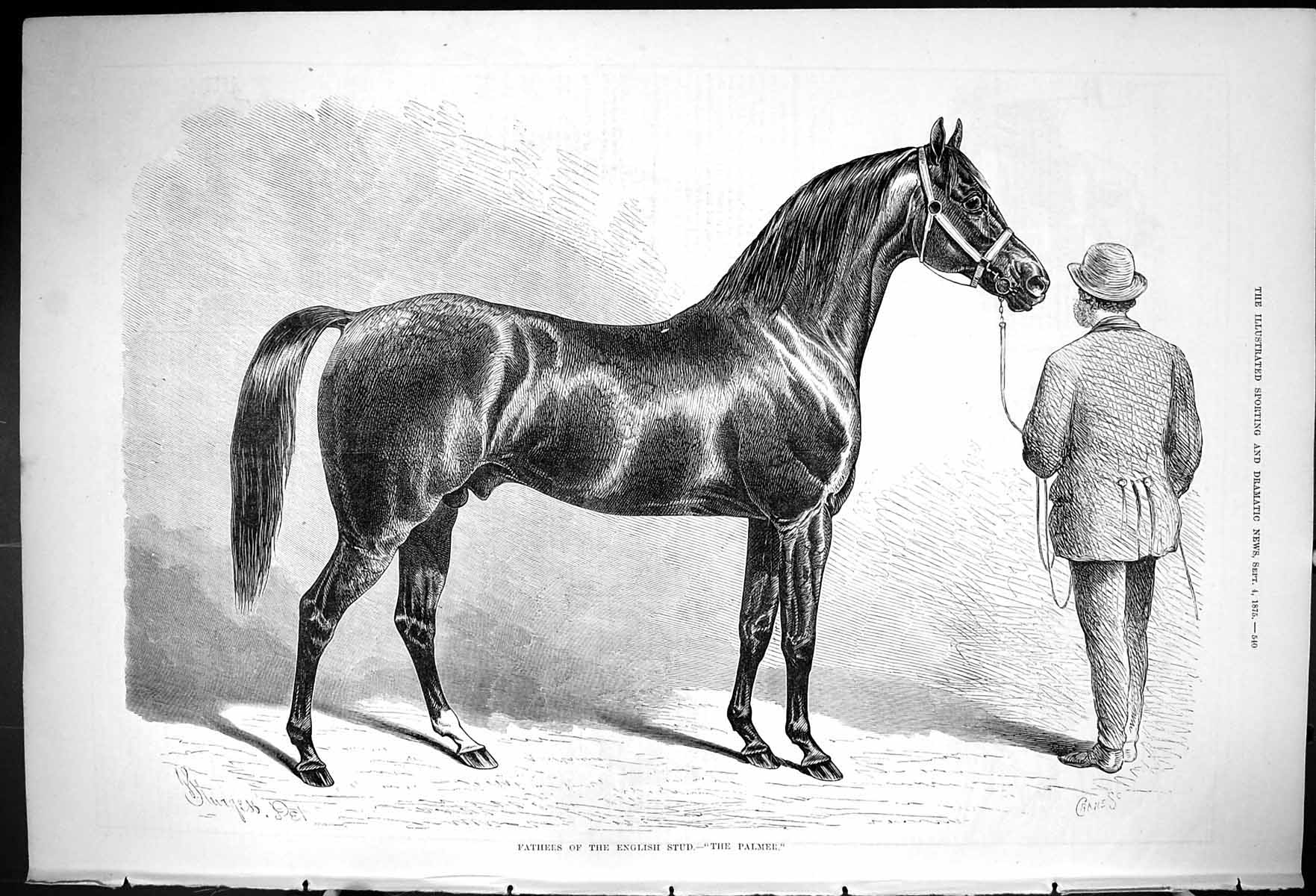 Original Old Antique Print 1875 Fathers English Stud Beautiful Horse The Palmer