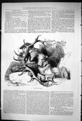 Original Old Antique Print 1875 Huntsman Dog Watching Game Hunting Sport 19th
