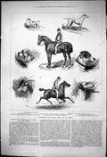 Old 1875 Farnworth Agricultural Horse Dog Show Mellor Turk Armstrong Victorian