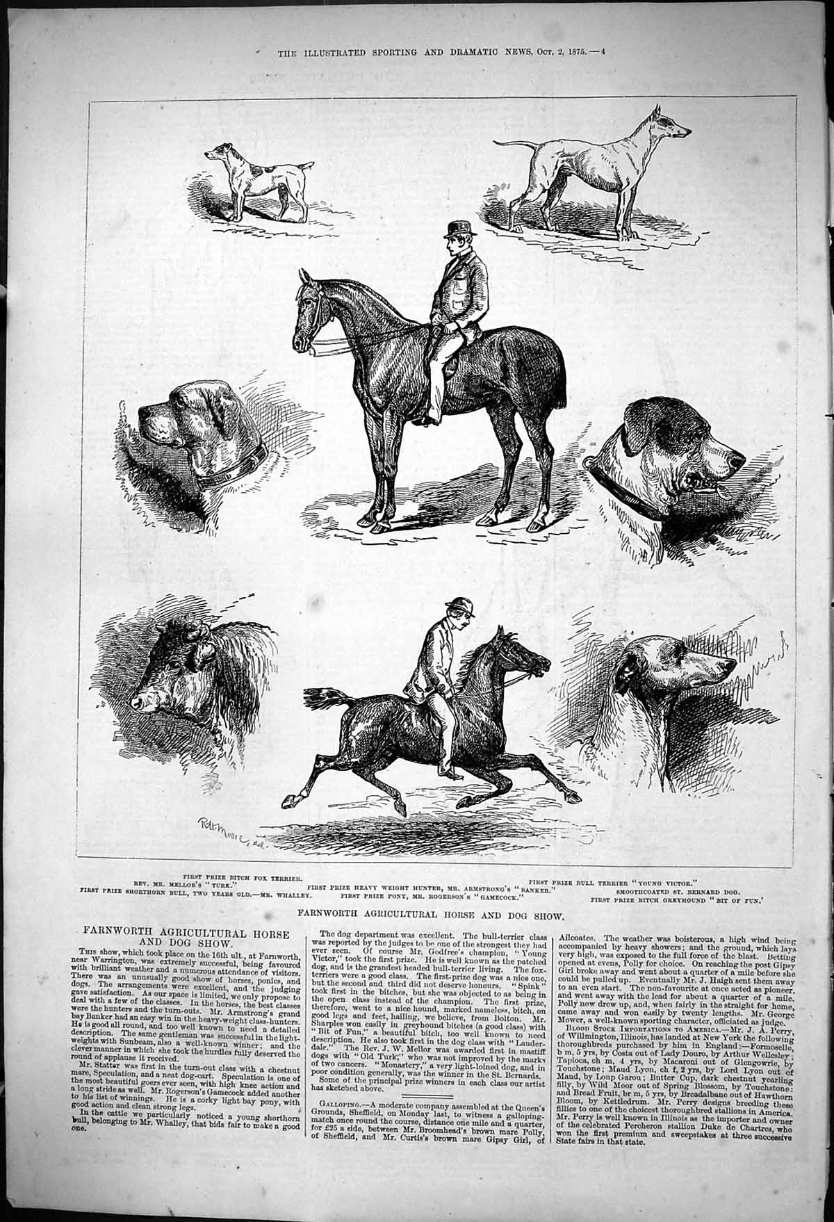 Old 1875 Farnworth Agricultural Horse Dog Show Mellor Turk Armstrong Victorian